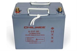 Chilwee 6-EVF-80 - Тяговый аккумулятор, GEL - фото 17161