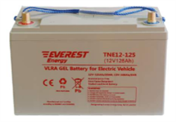 Everest TNE 12-125 (12В, 106Ач) - тяговый гелевый аккумулятор - фото 17183