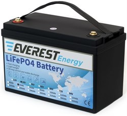 Everest Energy LFP-24V50Аh - литиевый тяговый аккумулятор - фото 17801