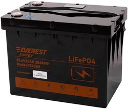 Everest Energy LFP-24V80Аh (Bluetooth) - литиевый тяговый аккумулятор - фото 17807