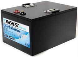 Everest Energy LFP-24V202Аh - литиевый тяговый аккумулятор - фото 17813