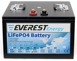 Everest Energy LFP-36V300Аh - литиевый тяговый аккумулятор - фото 17823