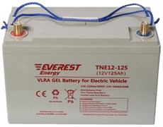 Everest TNE 12-125 - тяговый аккумулятор