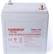 Everest TNE 6-270 - тяговый гелевый аккумулятор