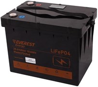 Everest Energy LFP-24V60Аh (Bluetooth) - литиевый тяговый аккумулятор