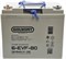 Gelbert 6-EVF-80 - тяговый аккумулятор (12V84A/H C5) - фото 18266